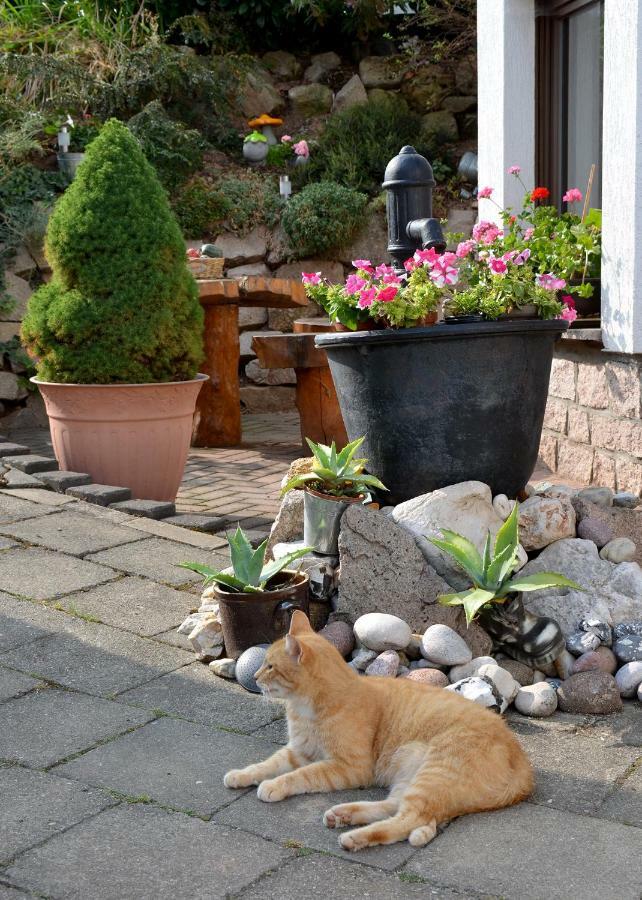 Ferienwohnung Reissmann Heinsdorfergrund Bagian luar foto